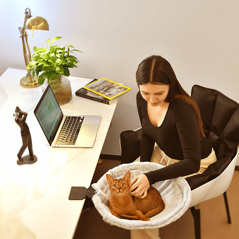 🐱Tartós, ergonómikus „macska” íróasztal-ágy távmunkások számára