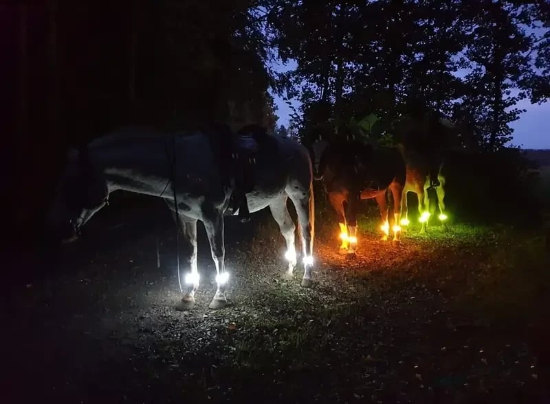🐎 LED-es lábpántok lovakhoz – 4 darabos csomag | Újratölthető, éjszakai lovagláshoz készült biztonsági lámpák ✨