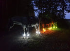 🐎 LED-es lábpántok lovakhoz – 4 darabos csomag | Újratölthető, éjszakai lovagláshoz készült biztonsági lámpák ✨