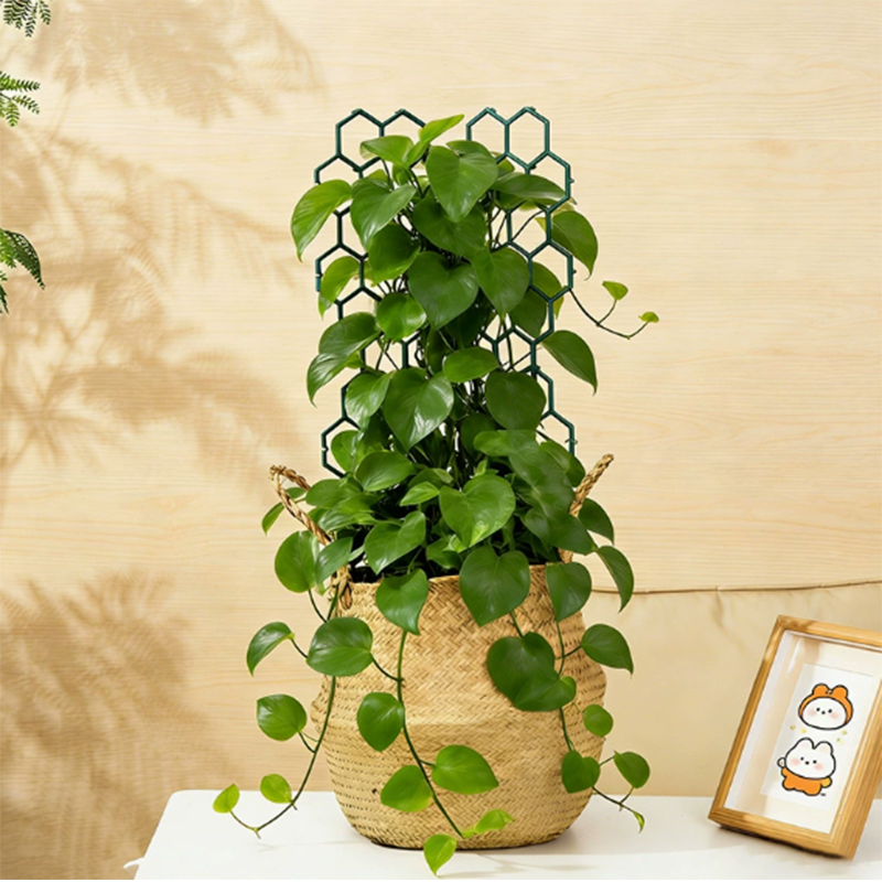 🌿 IDŐKORLÁTOS 50%-KEDVEZMÉNY! ✨ Méhsejtes növénytartó rács – rozsdamentes, egymásra rakható, egyszerűen felszerelhető